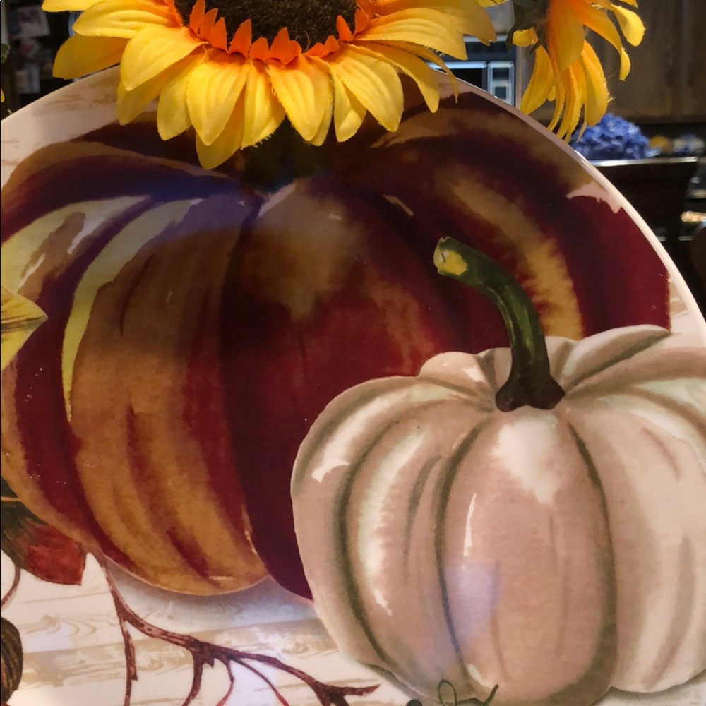 Autumn Harvest Pumpkin Dinner Plate Set - Picture 4 of 8